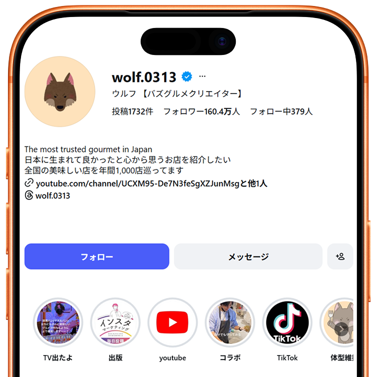 インスタグラムウルフアカウントイメージ